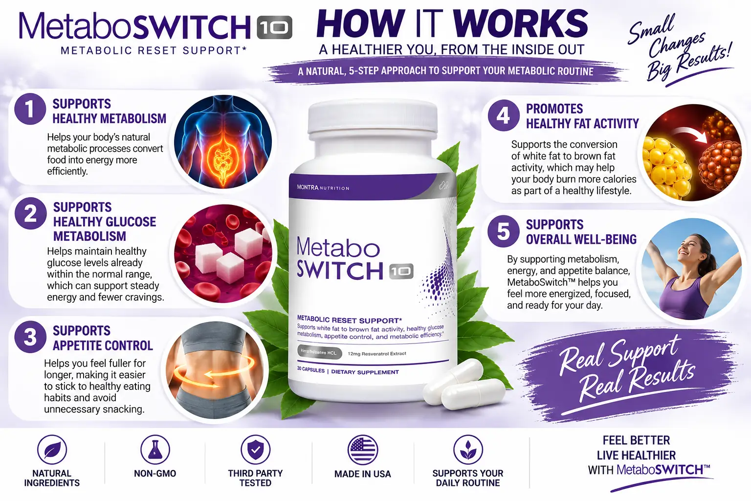 How MetaboSwitch works